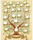 drawing of a tree and branches representing a blank family tree